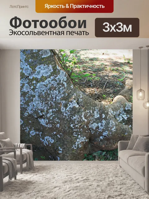 Фотообои ствол дерева с лишайником и мхом