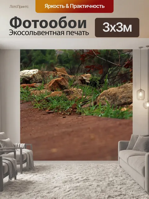 Фотообои камни и трава на обочине тропы