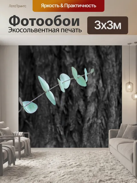 Фотообои Эвкалипт