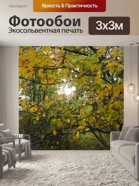 Фотообои лес,парк, осень,