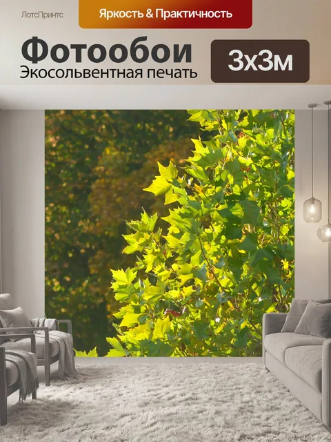 Фотообои Падение