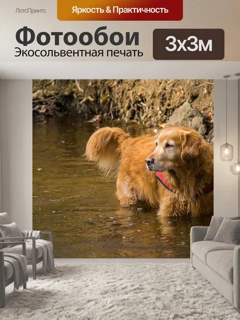 Фотообои Природа