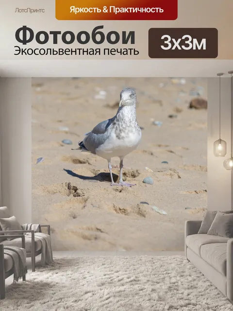 Фотообои Чайка на пляже