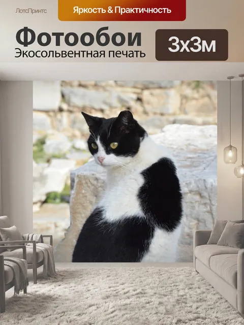 Фотообои Кошка