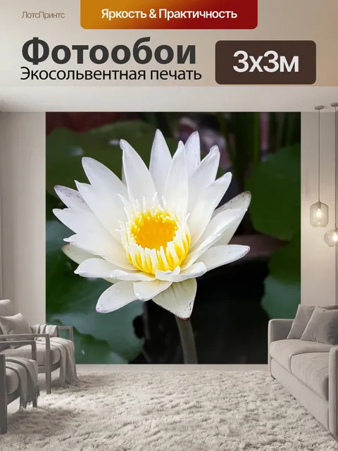 Фотообои Белый лотос