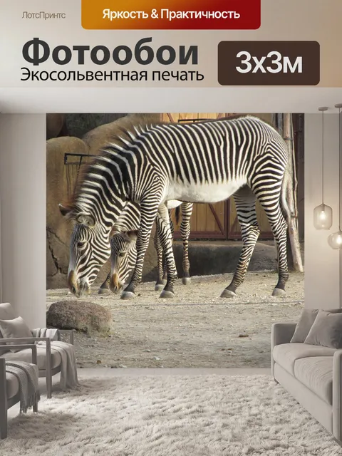 Фотообои Зебры