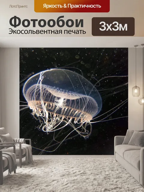 Фотообои медуза
