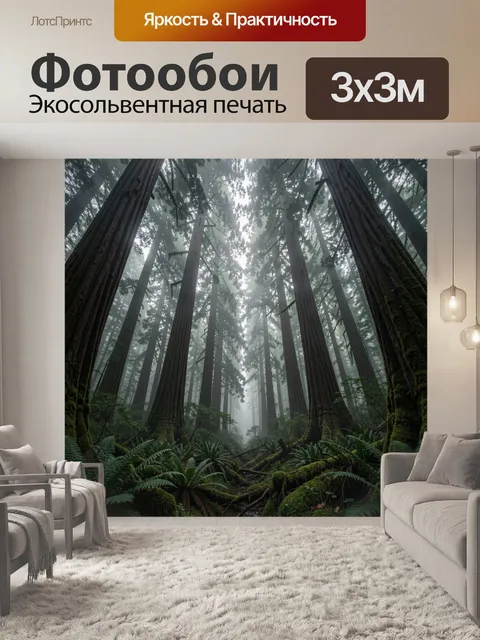 Фотообои Туманный лес с секвойями