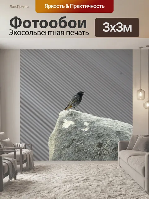 Фотообои Золушка