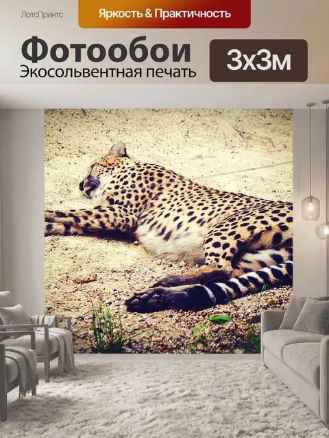 Фотообои тигр в зоопарке Таиланда