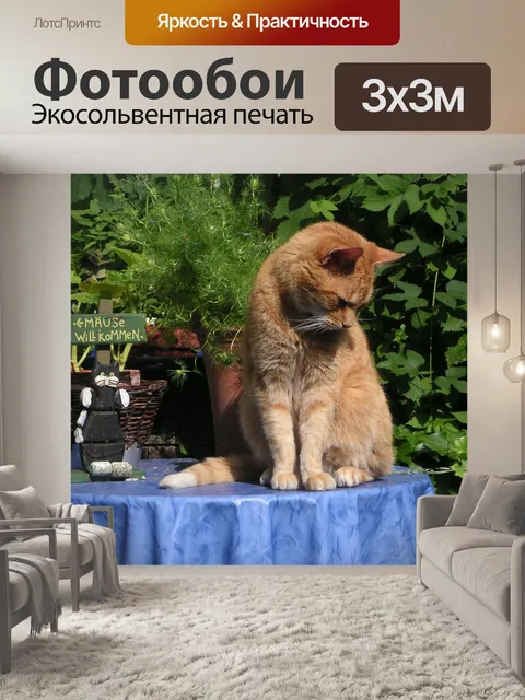 Фотообои Похмелье