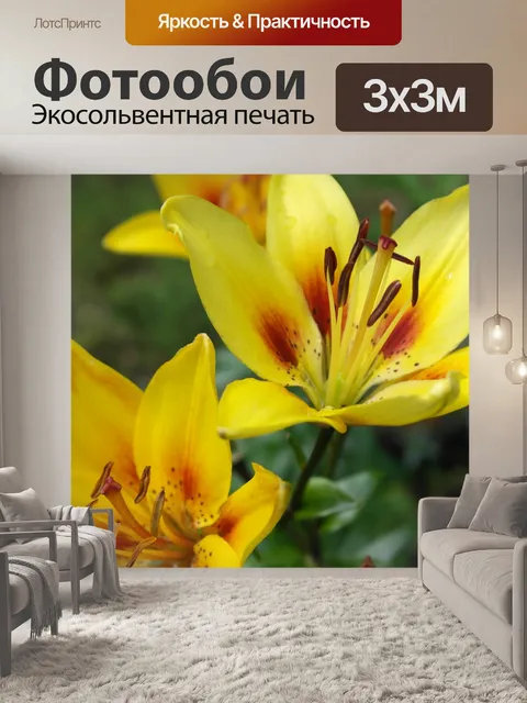 Фотообои Желтая лилия