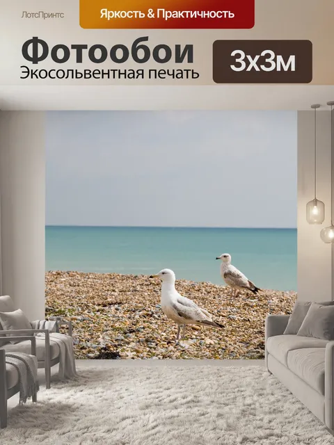 Фотообои Чайки на пляже