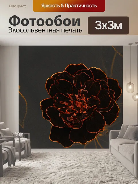 Фотообои Черная роза