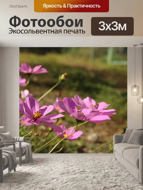 Фотообои Космос