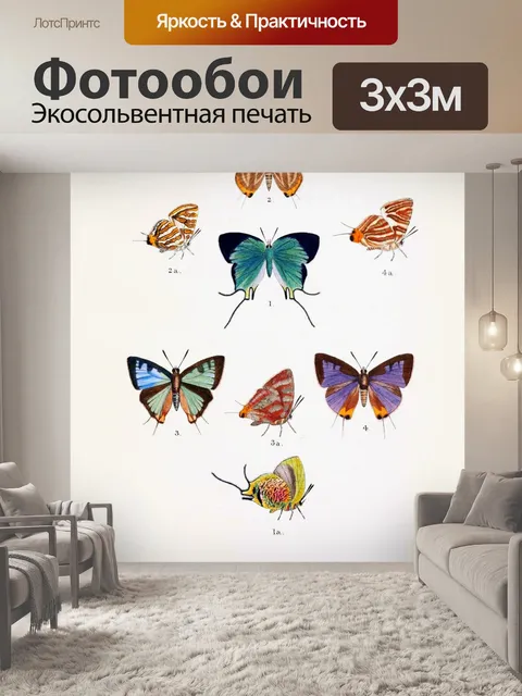 Фотообои Бабочки Винтаж плакат искусство
