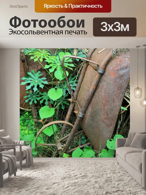 Фотообои тачка
