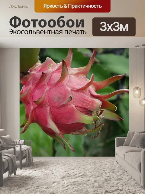 Фотообои Красный фрукт дракона