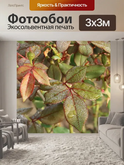 Фотообои Капли дождя на розовых листьях