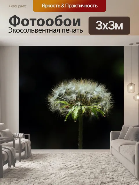 Фотообои Одуванчик