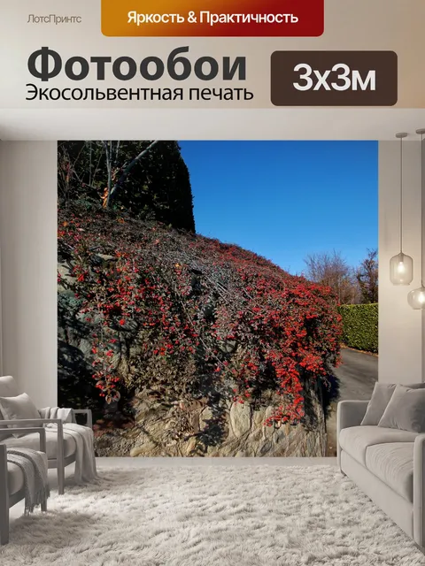 Фотообои красные ягоды