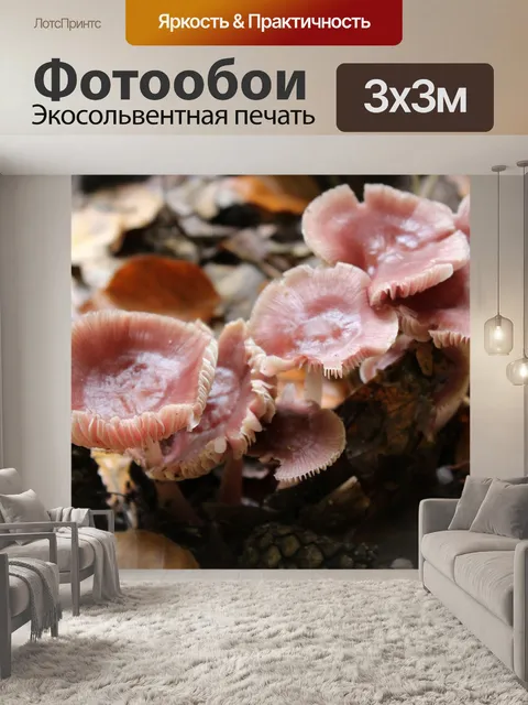 Фотообои Гриб