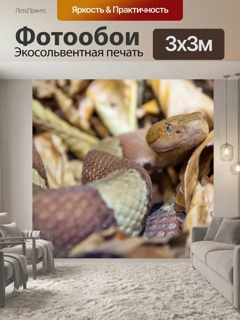 Фотообои северная медноголовая змея