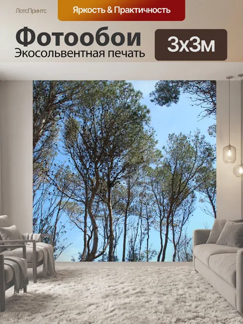 Фотообои Сосна