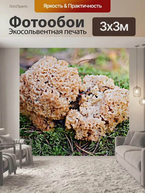 Фотообои Природа