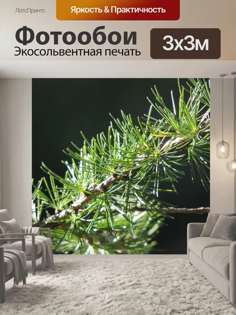 Фотообои Ели