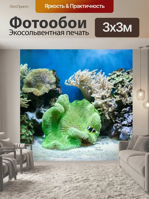 Фотообои Тропический морской водой с кораллами