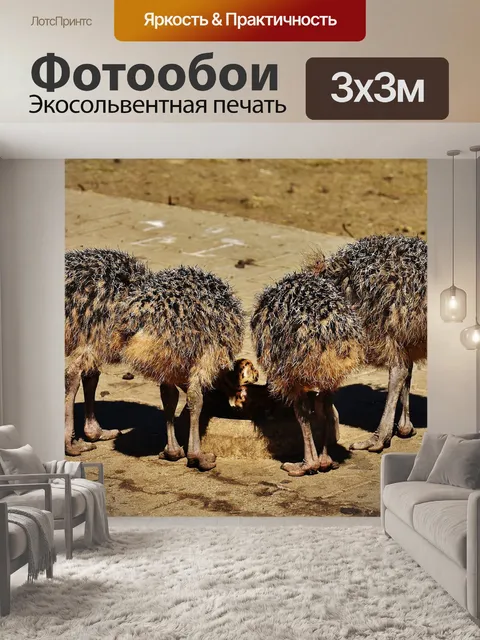Фотообои Страус