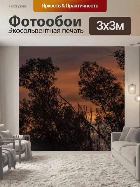 Фотообои Заход солнца