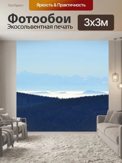 Фотообои Черный лес