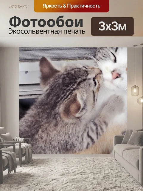 Фотообои Котенок поцелуи