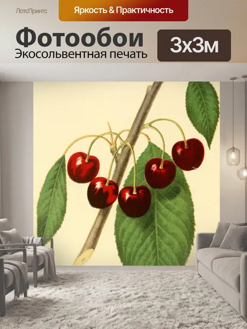 Фотообои Вишня Фрукты Вишня 1848