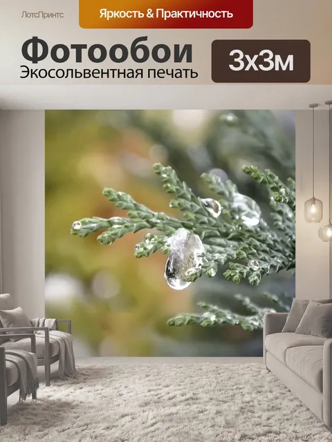 Фотообои Веточка