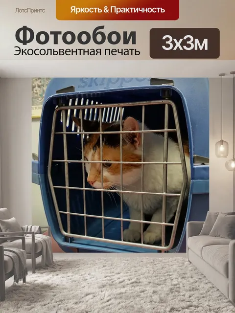 Фотообои Кошка