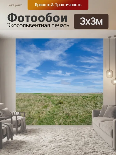 Фотообои луг и голубое небо