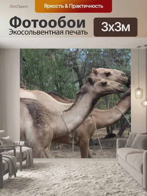 Фотообои Сафари