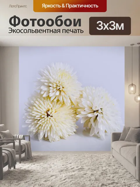 Фотообои Хризантемы
