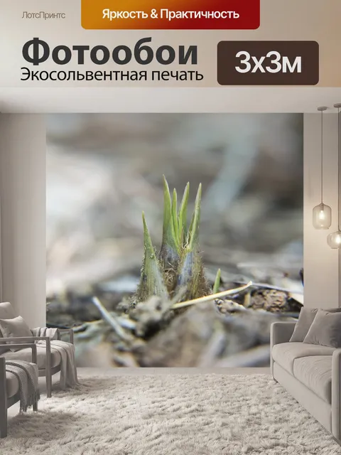 Фотообои Побеги бамбука