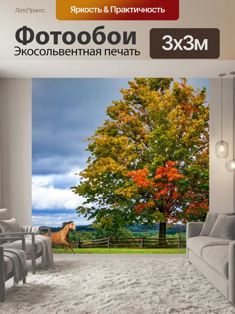 Фотообои бегущая лошадь осенью