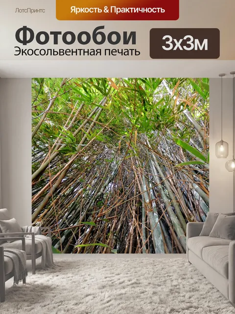 Фотообои Бамбук
