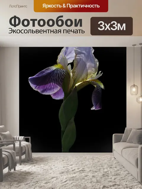 Фотообои Ирис