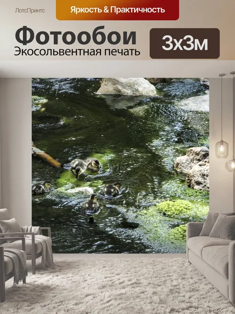 Фотообои Утята Купание в группе