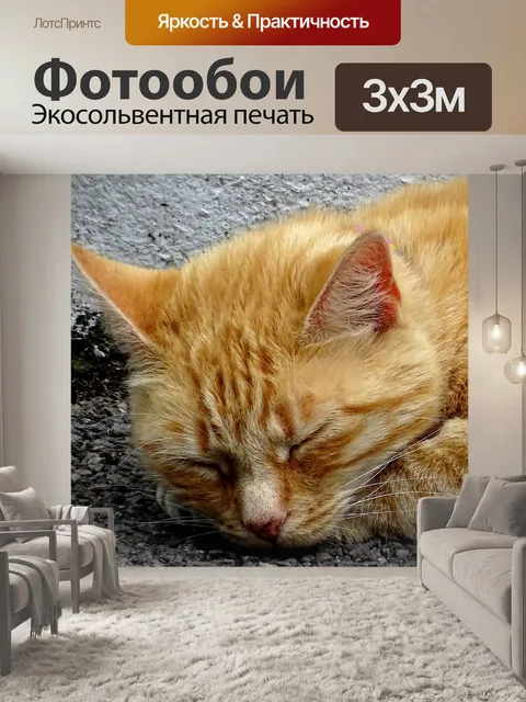 Фотообои Сонный рыжий кот крупным планом