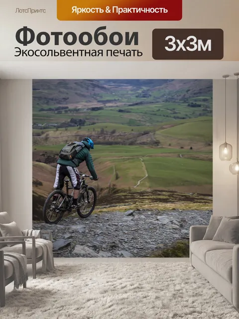 Фотообои Катание на горных велосипедах