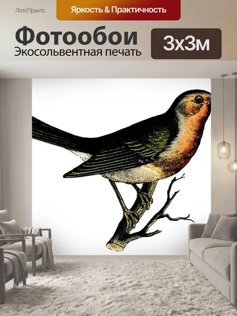 Фотообои Птица