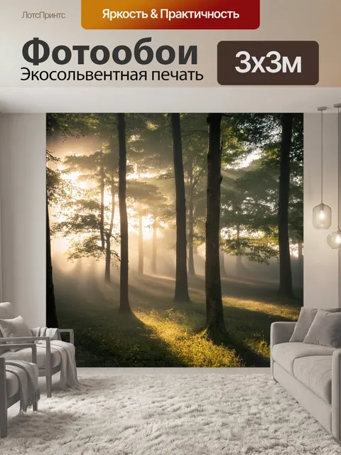 Фотообои сцена с утренним солнцем, пробивающимся сквозь густые деревья; легкий туман обвивает стволы